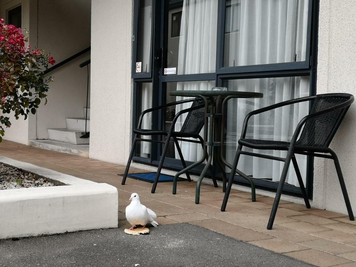 Annabelle Court Motel Christchurch Exterior foto